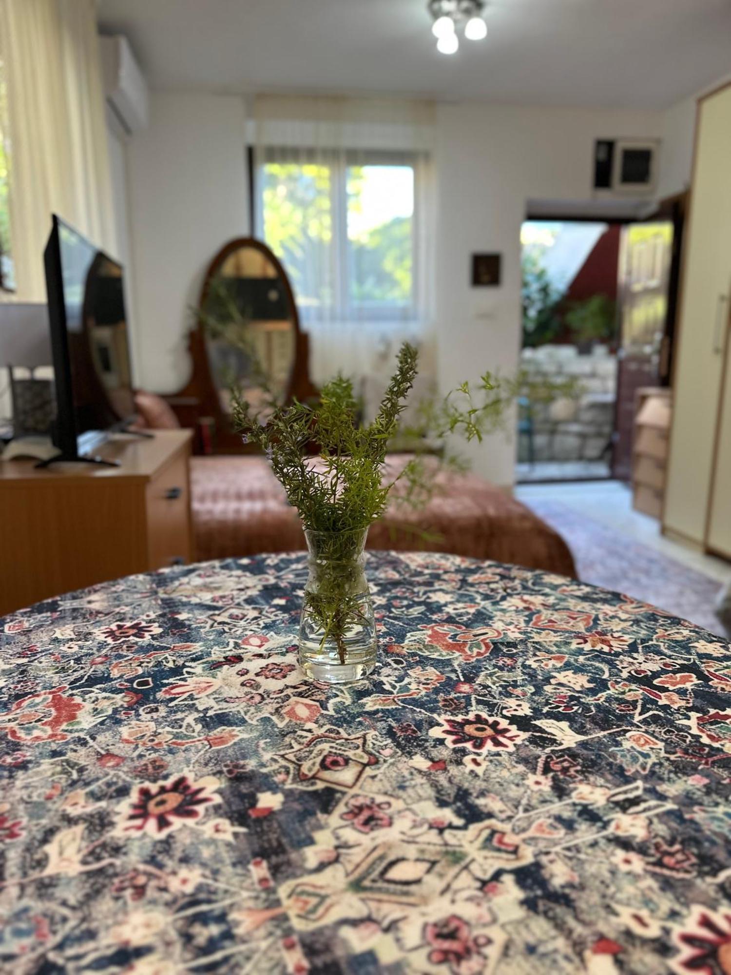 Studio Apartment Palma تْشيرسيك نوفي المظهر الخارجي الصورة